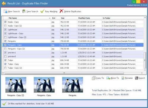 برنامج Fast Duplicate File Finder