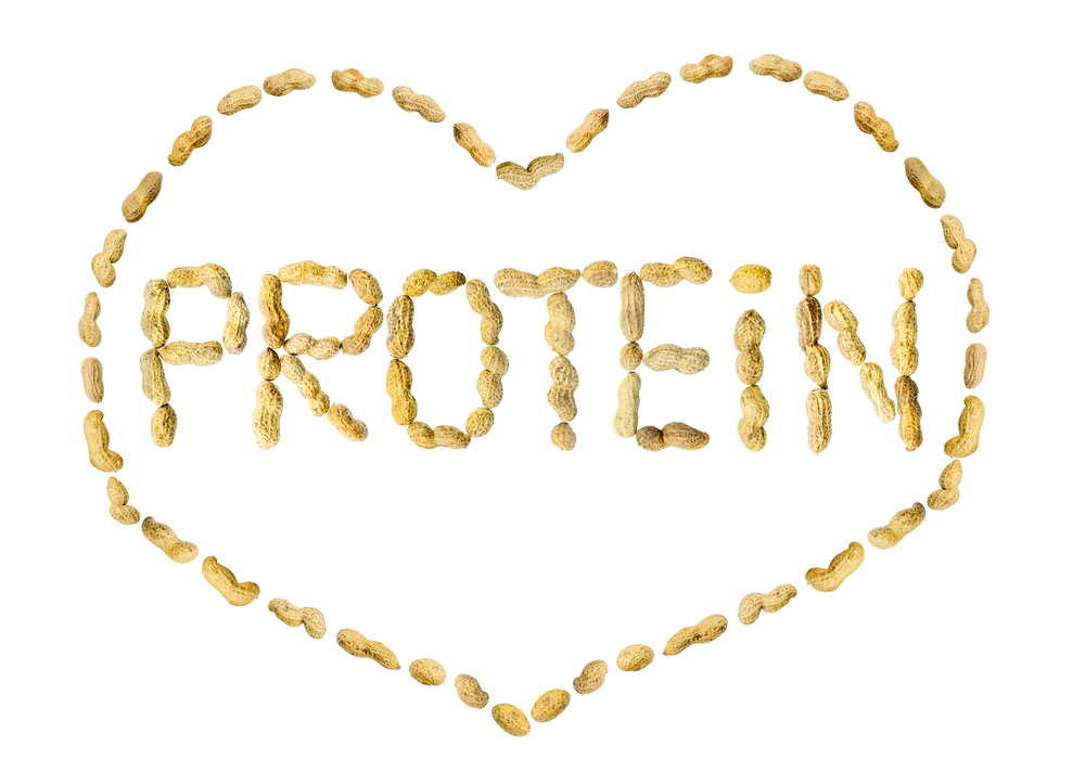 البروتينات