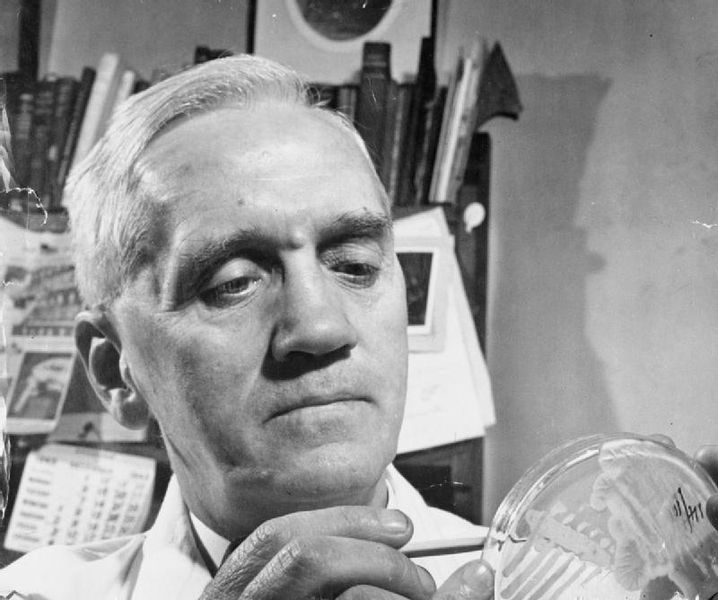 alexander-fleming-investigates-the-effect-of-penicillin-on-bacterial-growth
