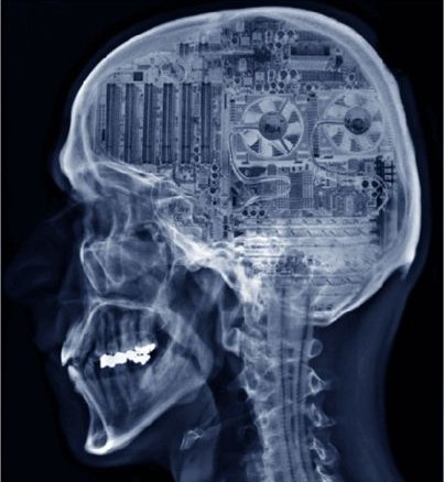 الدماغ كحاسوب، صورة ترسيمية