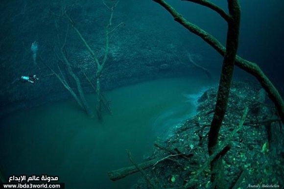 نهر تحت الماء Underwater_River_in_Mexico_11