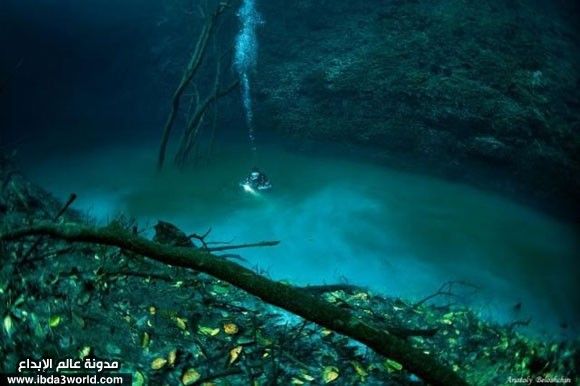 نهر تحت الماء Underwater_River_in_Mexico_31