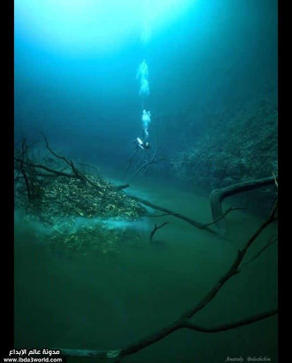 نهر تحت الماء Underwater_River_in_Mexico_41